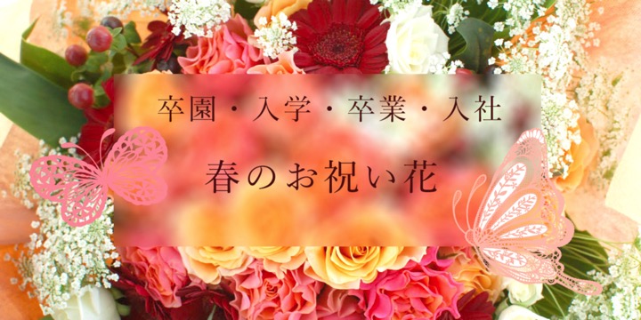 入学祝花 卒業祝い花 入社祝い 春のお祝い花の特設ページ マイスタリン花の社長日記
