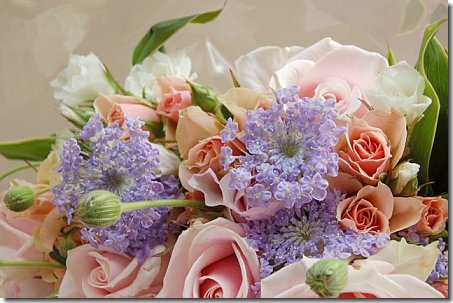 ホテルミラコスタでプロポーズ ドイツマイスターの花束専門店 プロポーズフラワーショップ